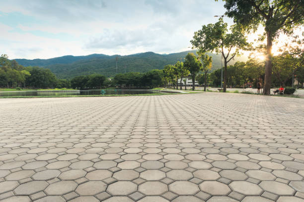 Best Residential Paver Driveway  in Laguna Heights, TX